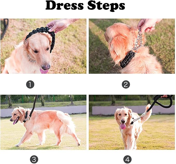 Love Dream Dog Collar and Leash Set, Heavy Duty Nylon Braided Rope Strong 4 FT Dog Leash and Martingale Training Collar for Small Medium Large Dogs Training and Walking (Green & Black)
