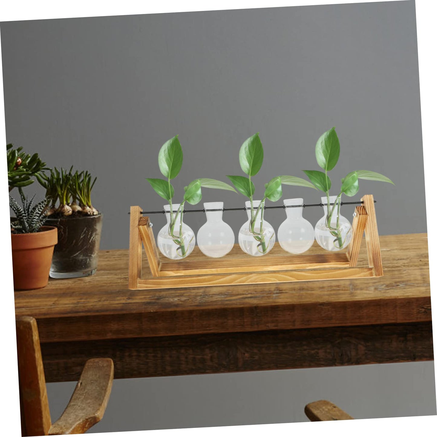 BESPORTBLE Wooden Stand Plant Propagation Glass Vases for Hydroponic Plants Terrarium for Home Decor