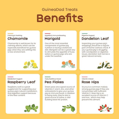 GuineaDad Organic Treat Sampler - Guinea Pig Herbal Treats - Guinea Pig Food in 6 Flavors - 6 Pack - Guinea Pig Treats Help with Bonding - High in Nutrition, No Preservatives, No Additives