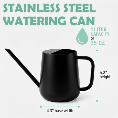 Chemlliy Watering Can for Indoor & Outdoor Plants, 35 oz/1000ml Watering Can with Metal Handle, Stainless Steel Garden Long Spout Watering Pot for Indoor House Plants Bonsai Flower Decorative