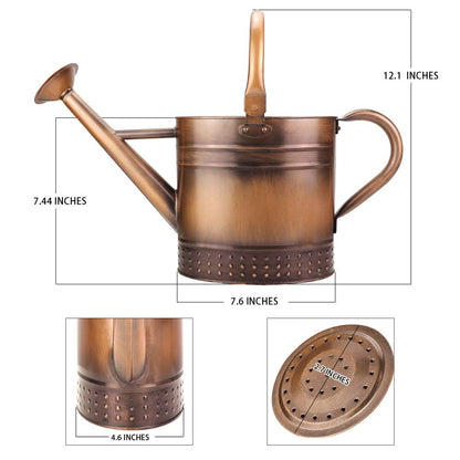 Megawodar 1 Gallon Metal Watering Can with Removable Spout, Nice Galvanized Steel Water Can with Embossed Design for Indoor and Outdoor Plants