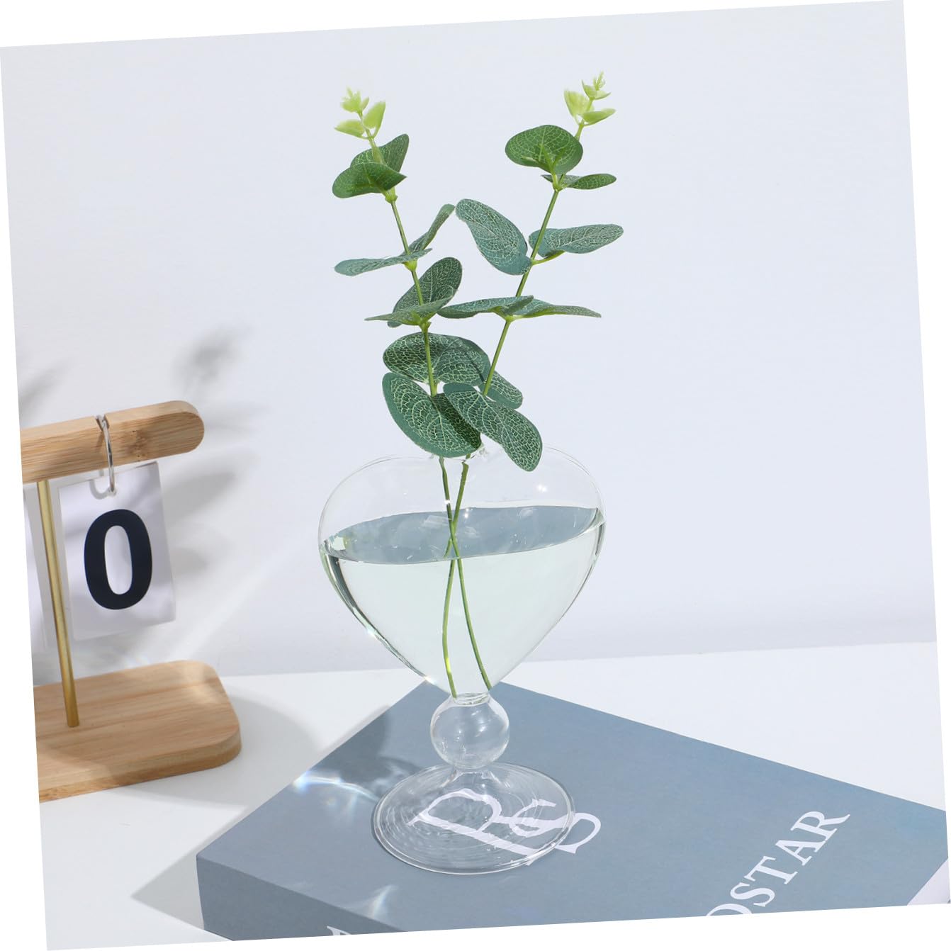 HEALLILY Heart Shaped Hydroponic Glass Vase Desktop Flower Holder Decorative Terrarium Planter for Fresh Dried Plants Transparent Creative Centerpiece for Home Office Tabletop Decor
