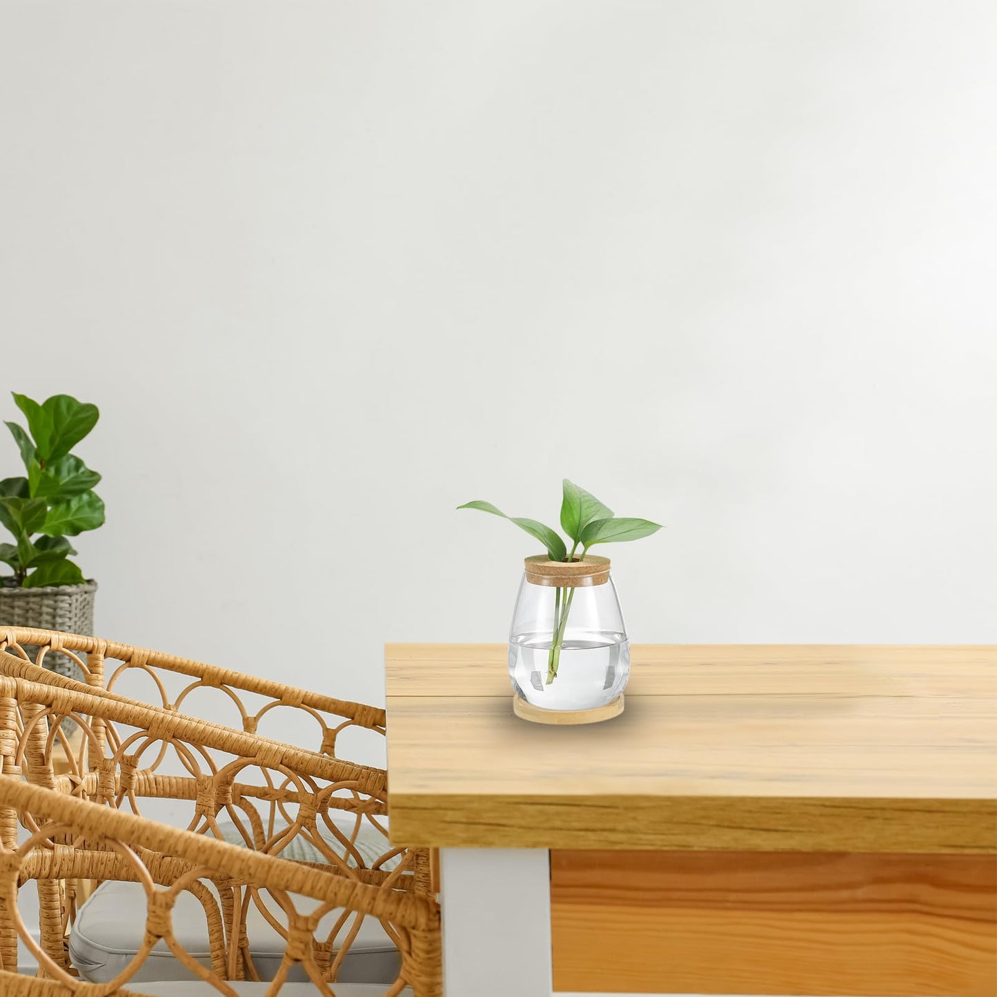 PATIKIL Plant Propagation Station Glass Vases, 2 Pack Desktop Round Planter Terrarium Vase with Wooden Tray & Lid for Hydroponic Office Home Decor Plants Indoor, Brown