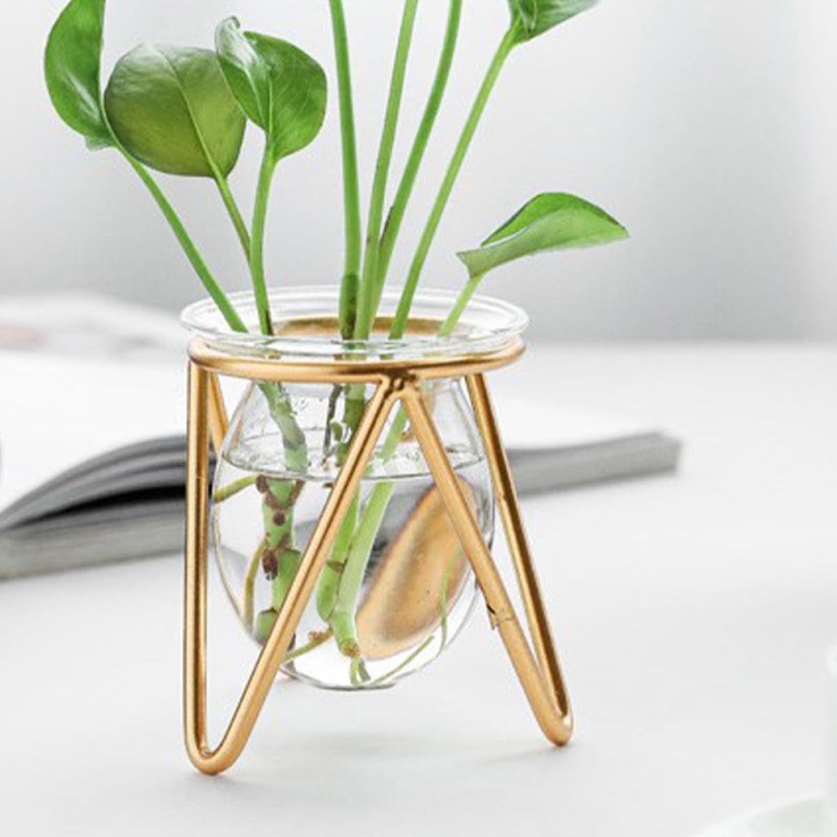 Toyvian Glass Plant Vase with Metal Stand, Decorative Bulb Terrarium Container for Succulents and Green Plants, Small Gold Indoor Hydroponic Planter for Home and Office Desk Decor