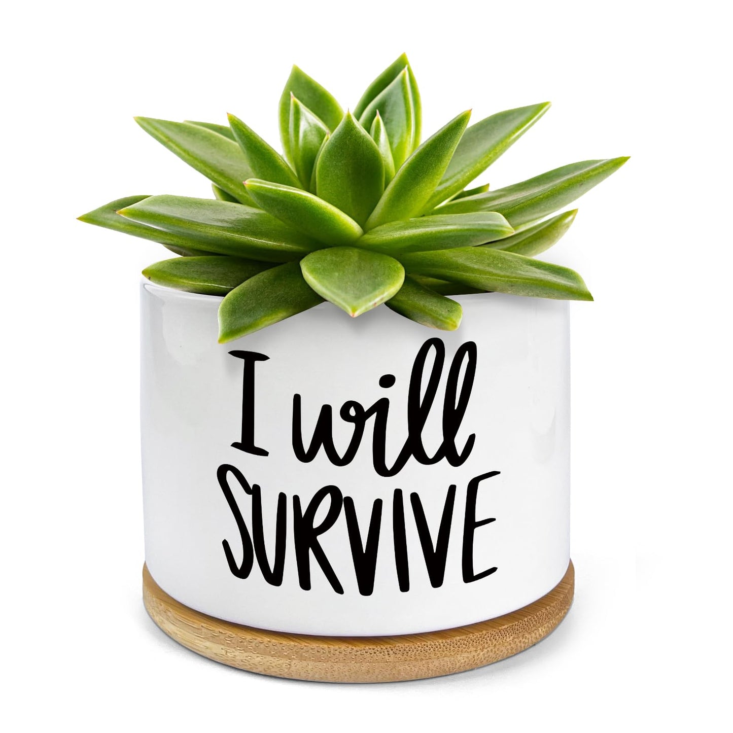 WHING 3.5 Inch Mini Succulent Planter Pot, I Will Survive Funny Engraved White Ceramic Cactus Pot with Bamboo Tray, Indoor Flower Plant Pots for Home Office Windowsill Decor Gift, Plant Not Included