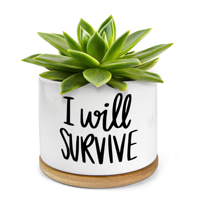 WHING 3.5 Inch Mini Succulent Planter Pot, I Will Survive Funny Engraved White Ceramic Cactus Pot with Bamboo Tray, Indoor Flower Plant Pots for Home Office Windowsill Decor Gift, Plant Not Included