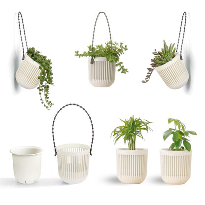 Succulent Tools and Plastic Succulent Pots