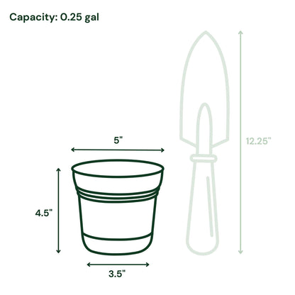 Bloem Saturn 5" Round Plastic Planter - Indoor/Outdoor, Snap-in Saucer & Drainage Holes, Charcoal, 4-Pack