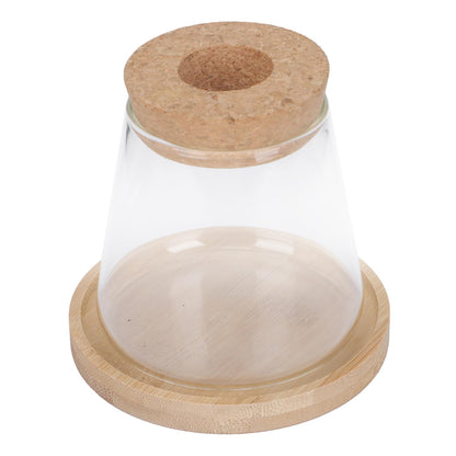 Beaupretty Hydroponic Glass Vase with Wooden Stand, 1-Set Ecological Bottle for Plant Propagation, Home and Office Gardening Terrarium Planter