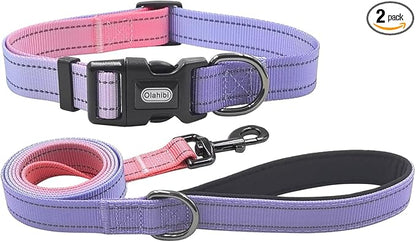 Dog Collar Leash Set, Gradient Color, with Safety Reflective Strips, 5 ft Matching Leash, Neoprene Padded Handle, Adjustable 4 Sizes for Small Medium Large Dogs.(XS, Lilac Pink)