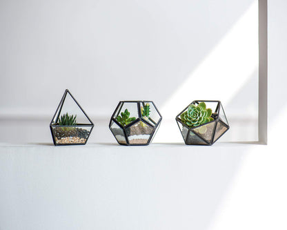 Mkono Artificial Succulent in 3 Pack Mini Glass Geometric Terrarium, Miniature Potted Faux Plant Bookshelf Desk Boho Office Room Decor for Women Girls Dorm Gift Idea, Black