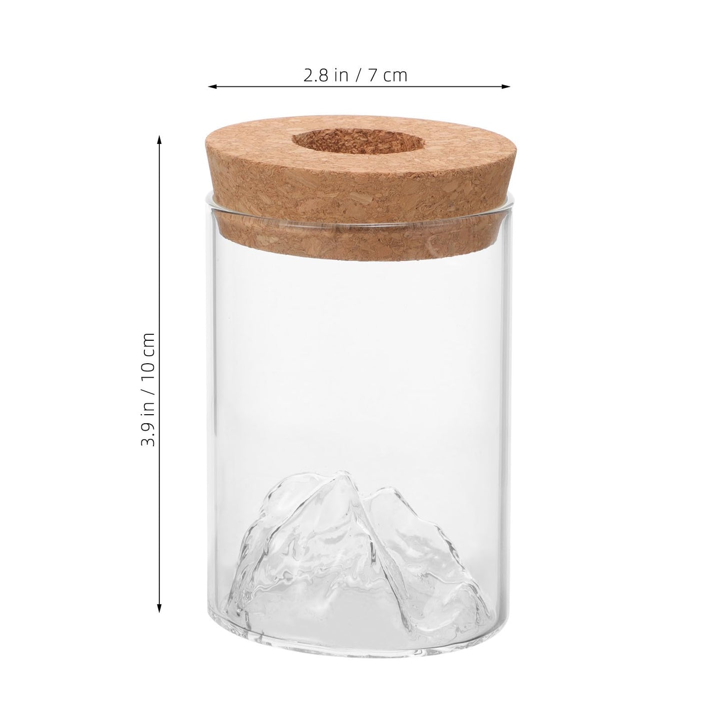 BESPORTBLE Glass Plant Holder Vase for Flower Arrangement, Glass Hydroponic Container for Office Desktop Plants, Succulent Floral Holder Terrarium Bottle