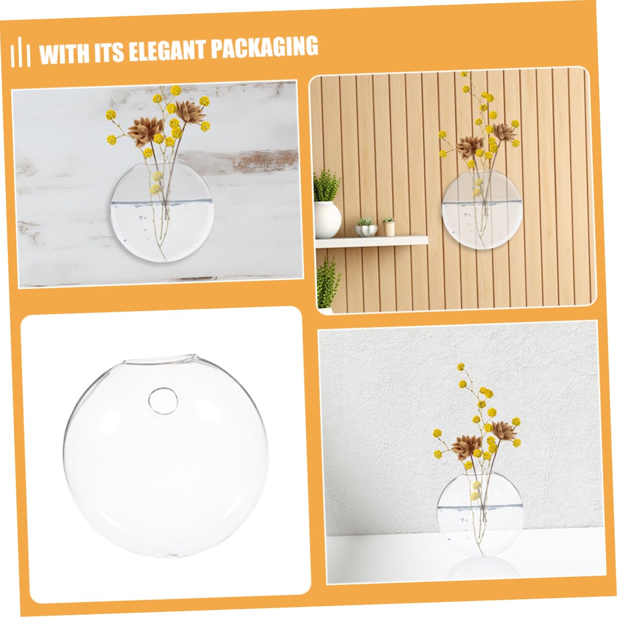 Cabilock 2pcs Wall-Mounted Glass Hydroponics Vases Cool Plant Terrariums for Home Office Decor Glass Flower Pots Root Display Vases