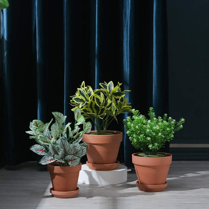 Yishang Large Terracotta pos with Drainage Hole and Saucers,Ceramic Clay Planter Pots for Indoor/Outdoor Plants,6 Inch & 7 Inch & 8 Inch,Set of 3