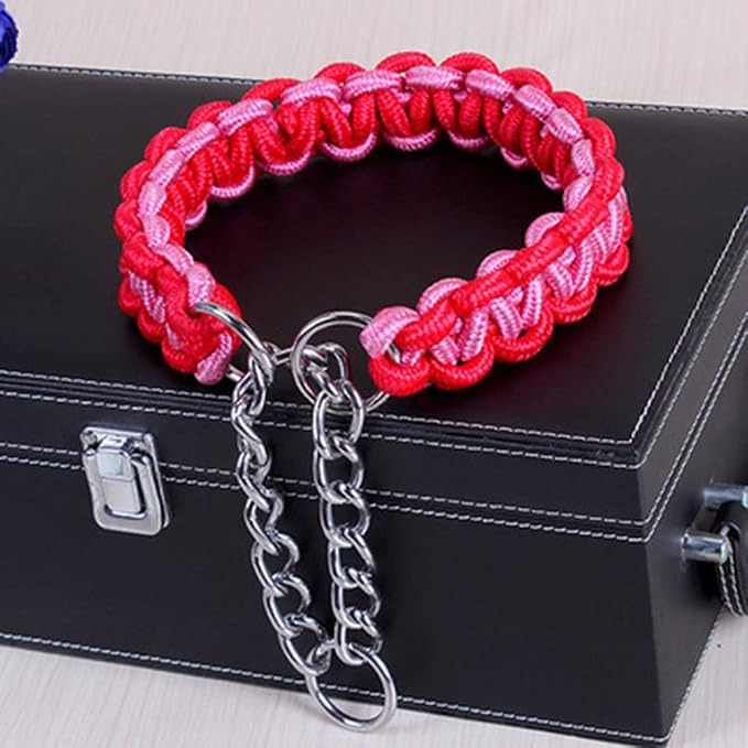 Love Dream Dog Collar and Leash Set, Heavy Duty Nylon Braided Rope Strong 4 FT Dog Leash and Martingale Training Collar for Small Medium Large Dogs Training and Walking (Blue & Pink)