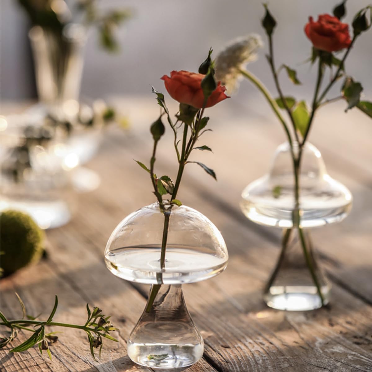 NUSITOU 2pcs Glass Mushroom-Shaped Hydroponic Flower Vases Decorative Desktop Home Office Plant Holders for Terrarium and Floral Arrangement