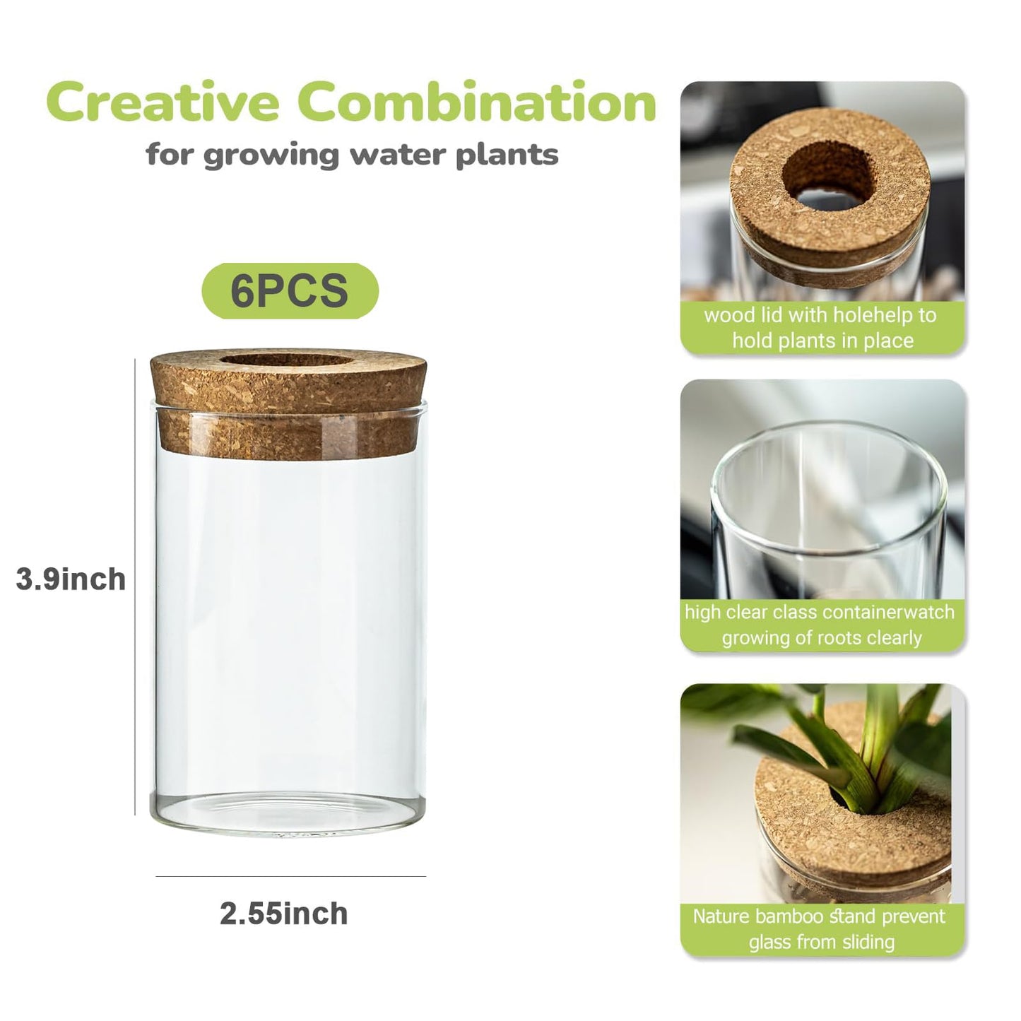 Snminetal Glass Plant Propagation Station Set of 6, Modern Desktop Flower Vase for Succulent Cuttings, Home Office Decoration, Ideal Housewarming Gift for Living Room, Bedroom