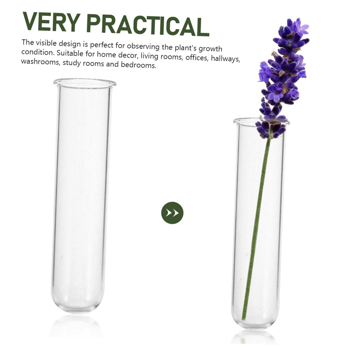 Abaodam 5pcs Clear Glass Test Tube Propagation Vases Multi-use Hydroponic Plant Holders for Home and Office Decor Elegant Terrarium Flower Display Sturdy Design