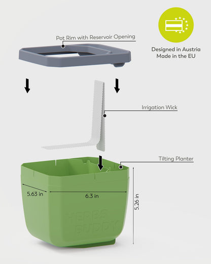 BUZZY Seeds Herb Buddy Self-Watering Herb Planter with Water Level Indicator – Indoor Kitchen & Windowsill Planter (Grey)