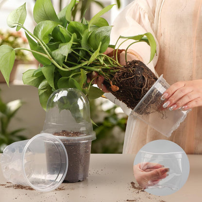 RooTrimmer Transparent Nursery Pots 4Inch with Humidity Domes for Seeds Starting, Clear Plastic Plant Pots with Drainage Holes (4Inch, 30Pcs,Clear Pots with Lids)