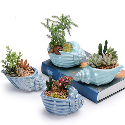 Bonsai Pots 5.5 Inch Blue Conch Ocean Series Ceramic Base Serial Set Succulent Plant Pot Cactus Plant Pot Flower Pot Container Planter With Drainage Hole Gift Idea 4 In Set(Plants Not Included)