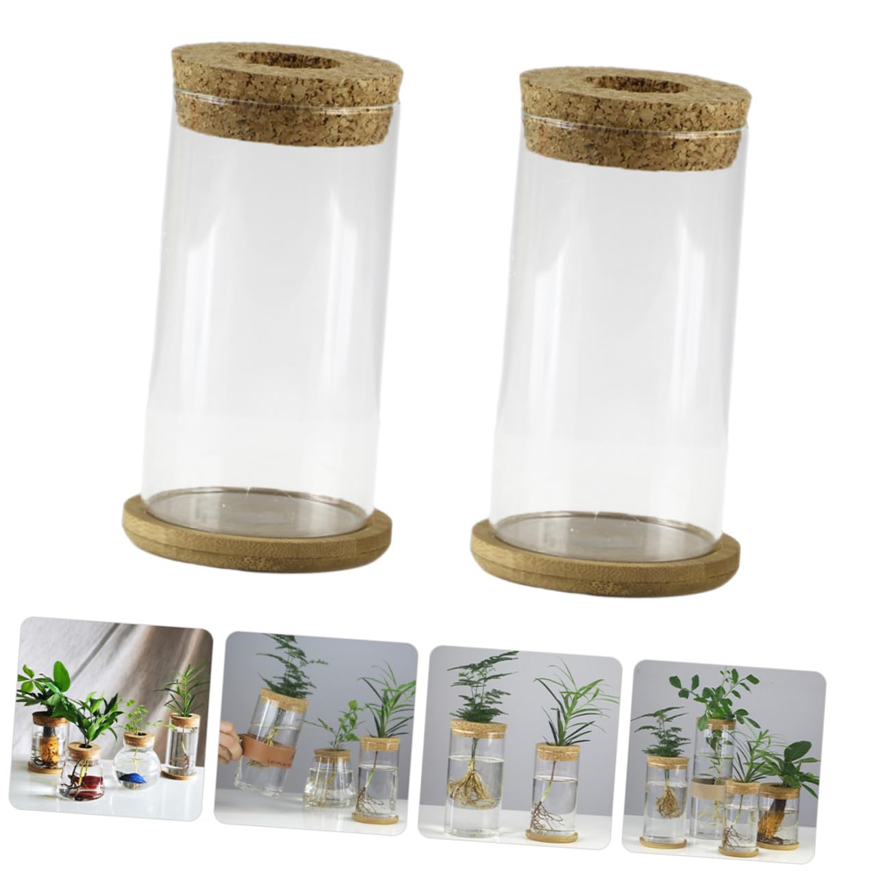 MAGICLULU Glass Hydroponic Vase Set for Succulents and Green Plants, Glass Flower Arrangement Container with Mat, 6.5x12cm, 2pcs Home Décor Terrarium Planter