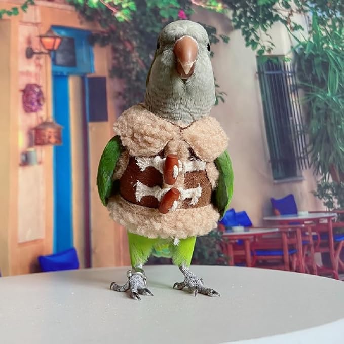 Bird Diaper Flight Suit Parrot Costume pet Animal Costume, Applicable to Birds and Parrots Warm Supplies. (2M)