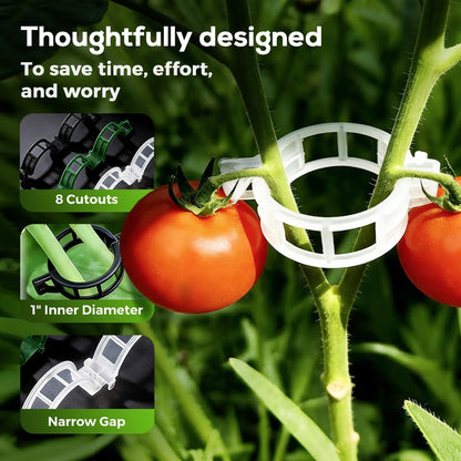 DSACL Plant Support Clips, 2026 Upgraded Tomato Plant Clips for Climbing Plants, Reusable Plastic Garden Clip for Grape Cucumber Stems Outdoor Vine Fixing Clip Gardening Supplies (50, White)