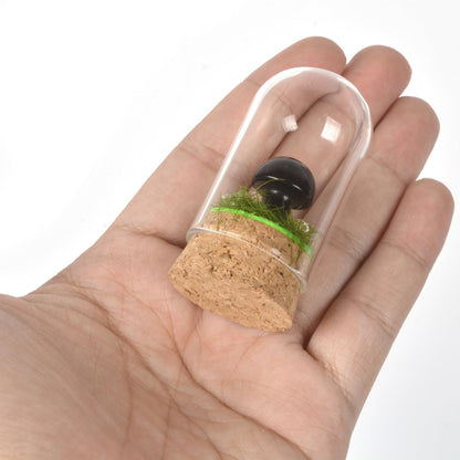 Justinstones Natural Black Obsidian Mini Mushroom Statue Figurine Home Decoration Gift with Glass Cover 2.3 inch