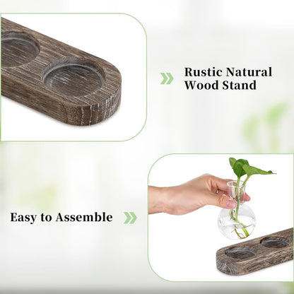 Beranosoer Propagation Station Glass Vases Decoration: 5 Plants Terrarium with White Washed Wooden Tray for Living Room