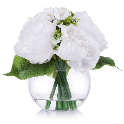 WGV Moon Vase, 6" x 2.5"W, 5.25" H, Clear Glass Floral Container with Oval Opening, Planter Terrarium, Wedding Event Home Decor, 1 Piece (VMV1006)