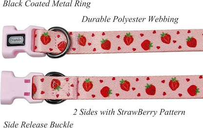 Dog Collar Leash Set, Fruit Pattern, Polyester Material, Adjustable Collar and 5ft Matching Leash, for Medium Dogs.(M, Strawberry)