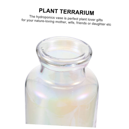 Alipis Glass Hydroponic Vase for Desktop Home Decoration Plant Terrarium Planter for Office and Events Modern Design for Hydroponics and Floral Arrangements