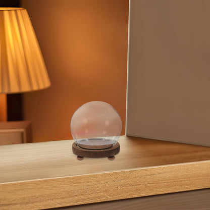 FESTFENDS Glass Cloche Dome Wooden Base Display Case for Preserved Flower and Succulent Craft Decoration