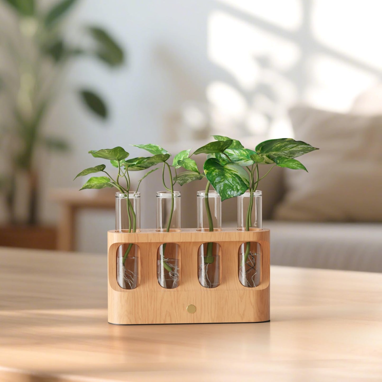 Giunn Rechargeable Plant Propagation Station with Stepless Dimming LED Light, Wooden Stand, 4 Glass Test Tubes, Home Decor for Hydroponic Plants, Unique Gifts for Women & Plant Lovers