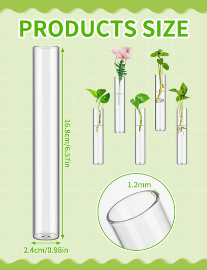 16 Tube Glass Plant Propagation Stations Clear Glass Test Tubes Tiered Planters Accessories for Home Office Plant Hanger Flower Vases Wall Decor Hydroponic Cuttings Clear Vases