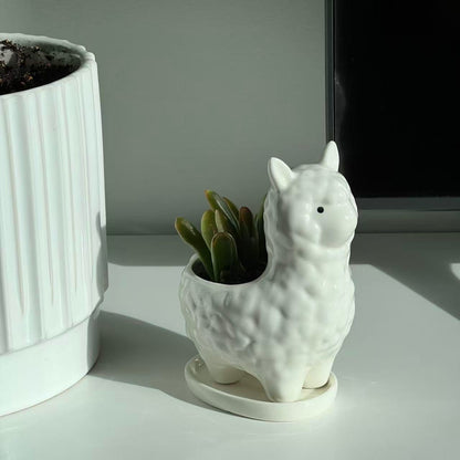 Succulent Planter Pot with Drainage Hole – White Ceramic Animal Pot for Small Plants, Cactus, Flowers – Indoor Outdoor Garden Patio Balcony Decor, Cute Gardening Gift, 6 Inch
