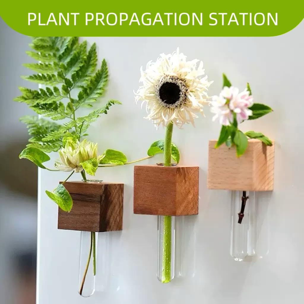NUOLUTH 6PCS Mini Plant Propagation Station Set - Glass Test Tube Vases with Magnet and Adhesive Backed Wooden Holders for Window, Fridge, Wall, Office, Kitchen Decor, Home Plant Display