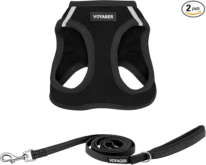 Best Pet Supplies Voyager Step-in Air All Weather Mesh Harness and Reflective Dog 5ft Leash Combo with Neoprene Handle, for Small, Medium and Large Breed Puppies - Black, Medium