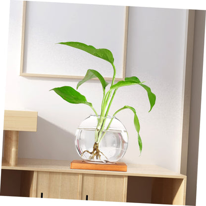 ABOOFAN Hydroponic Plant Vase with Base Glass Propagation Bottle for Desktop Decoration Transparent Terrarium Planter for Home Office Wedding Modern Tabletop Adornment