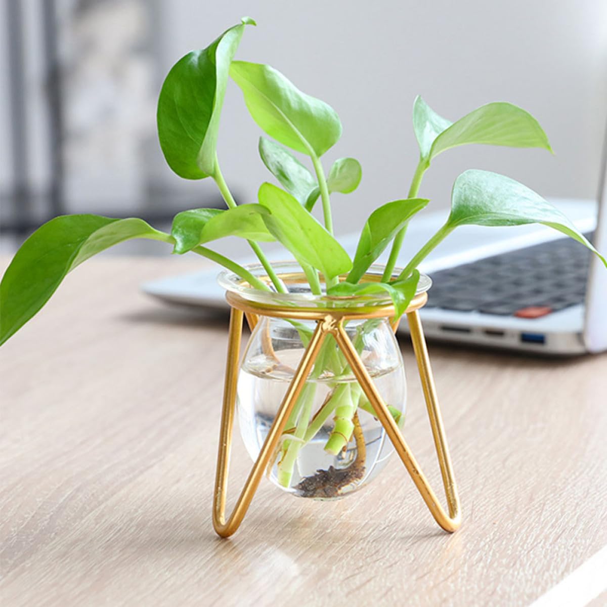 SEWACC Glass Vase with Metal Stand for Hydroponic Plants, Small Gold Bulb Planter Terrarium, Propagation Vase Holder for Home Desk Décor and Green Plant Display