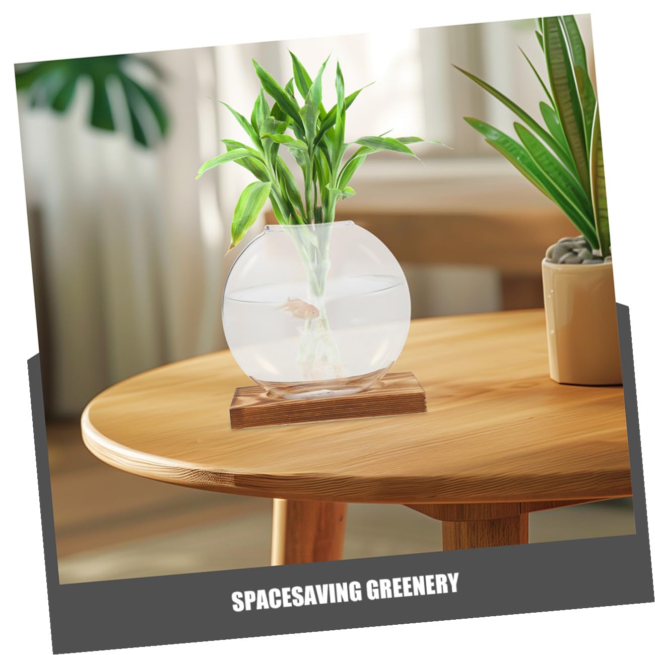 QUMIIRITY 2Pcs Hydroponic Glass Vase with Wooden Base, Plant Propagation Station for Home Office Balcony, Retro Style Plant Terrarium Holders for Indoor Gardening