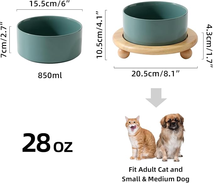 Havniva Raised Cat Bowls Water Bowl 6.1” Elevated Ceramic Cat Food and Water Bowl Whisker Friendly Pet Food Bowls for Indoor Cats, Wide Cat Water Dish Prevent Whisker Fatigue Non Slip Cat Feeder
