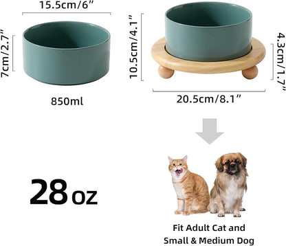 Havniva Raised Cat Bowls Water Bowl 6.1” Elevated Ceramic Cat Food and Water Bowl Whisker Friendly Pet Food Bowls for Indoor Cats, Wide Cat Water Dish Prevent Whisker Fatigue Non Slip Cat Feeder