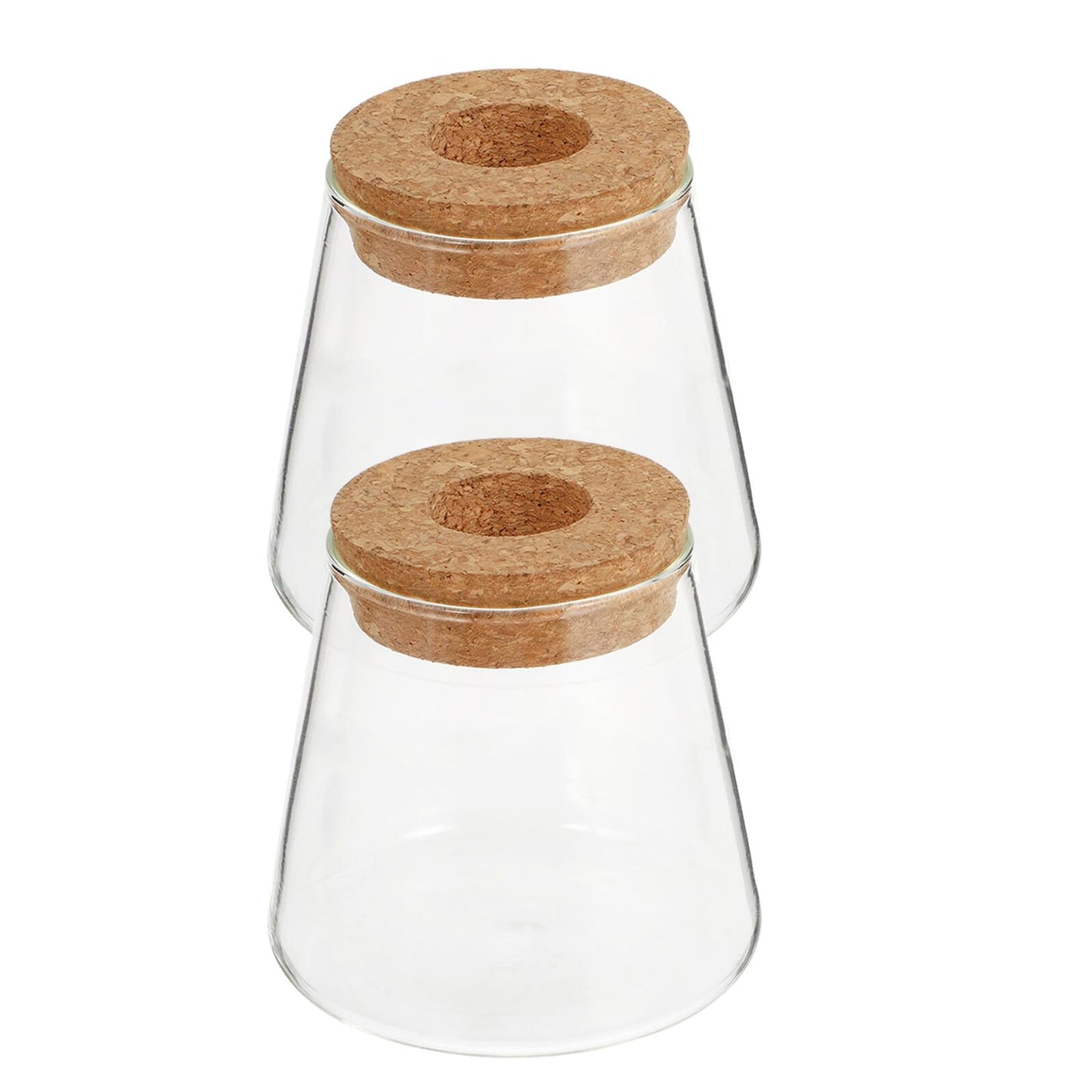 FUOYLOO Desktop Glass Vases for Hydroponics Plants, Stylish Terrarium Planter Wood Lid for Indoor and Hospitality Decor