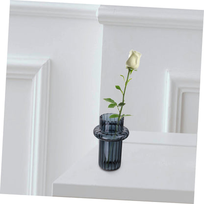 GANAZONO Glass Hydroponic Vase for Desktop Decoration Minimalist Style Terrarium Plant Holder for Decor