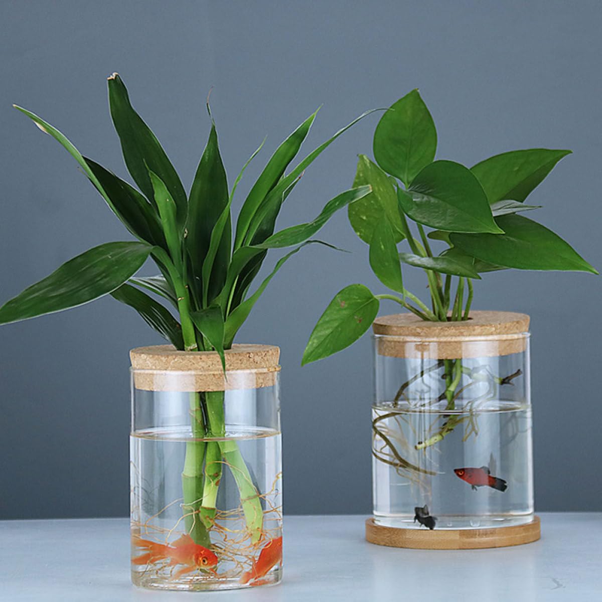 FOMIYES 2pcs Glass Flower Bottle Vase for Hydroponics with Cork Stopper, 6.5cm X 10cm Glass Home Decor Planter for Indoor Plants and Moss Terrarium
