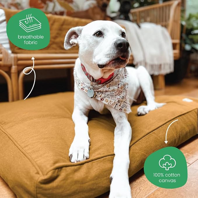 Molly Mutt Fast Car Dog Bed Duvet Cover, GOTS-Certified 100% Cotton Canvas Cover for Dog, Puppy, or Cat Bed, Durable, Washable, and Free of Harmful Chemicals, Medium/Large, 27"x36"x5", Mustard Yellow