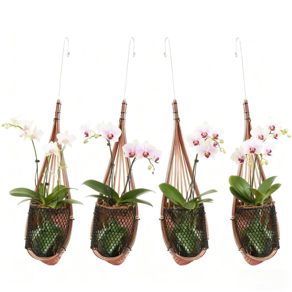 SatisJoy Orchid Hanging Planter, 5 Inch Thai Handmade Bamboo Natural Material Hanging Basket for Indoor Outdoor, Trellis Compatible, Durable Breathable, Set of 4 (Brown)