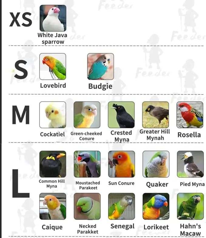 Bird Flight Suits Diapers for Monk Parakeets, Conures, Lovebirds, Cockatiels Flight Suits, Parrot Clothes, Bird Training Nappy Suit Liners Clothes (Small,Cyan)
